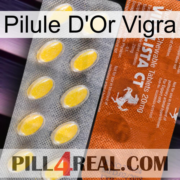 Vigra Gold Pill 42